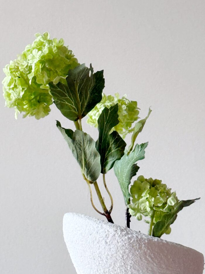 Snowball Grany